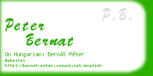 peter bernat business card