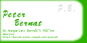 peter bernat business card